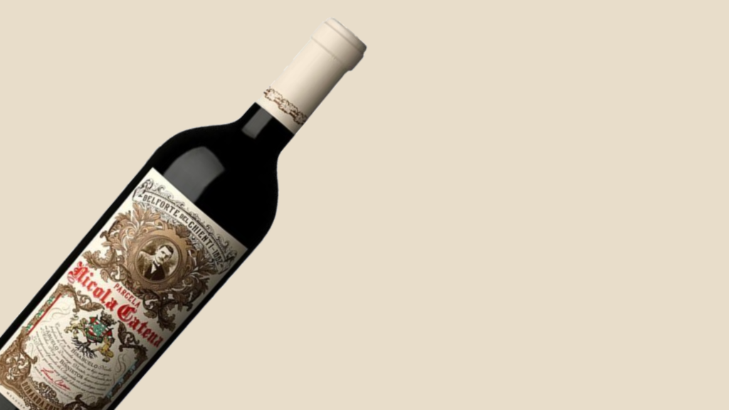 10 mejores vinos argentinos Bonarda Argentina Vinos Tintos Nicola Catena Bonarda