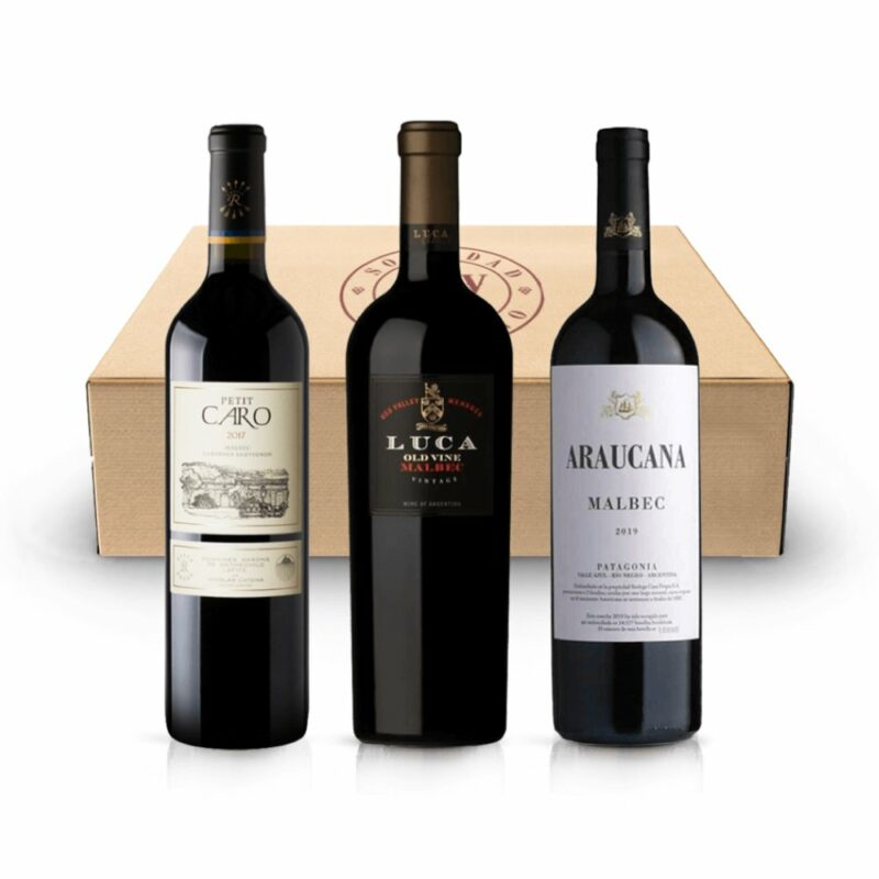Caja Mix Cabos Negros Vinos en Caja Luca Petit Caro Araucana Vino Tinto Malbec Regalo