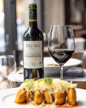 Vino Aruma Malbec Bodegas CARO Catena Rothschild Lujan de Cuyo Mendoza Caja de Vinos Online