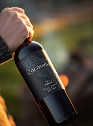 Cocodrilo Corte Red Blend Tinto Malbec Viña Cobos Vino Caja