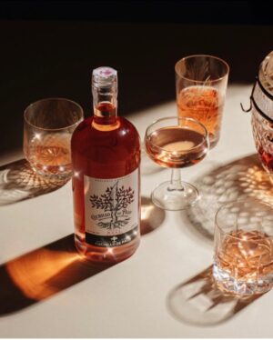 Cuchillo de Palo Rosé de Pinot Noir Vinos Argentinos Mayorista Por Mayor Distribuidora