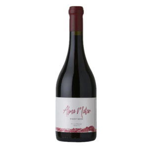 Matervini Alma Mater Pinot Noir Vino Tinto Los Chacayes Valle de Uco Mendoza Argentina